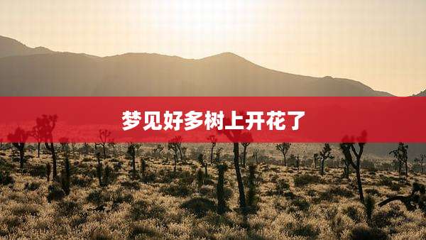 梦见好多树上开花了