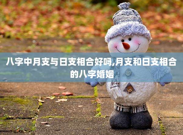 八字中月支与日支相合好吗,月支和日支相合的八字婚姻
