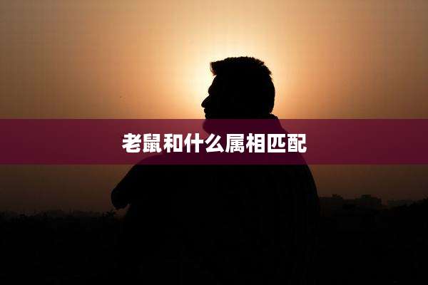 老鼠和什么属相匹配