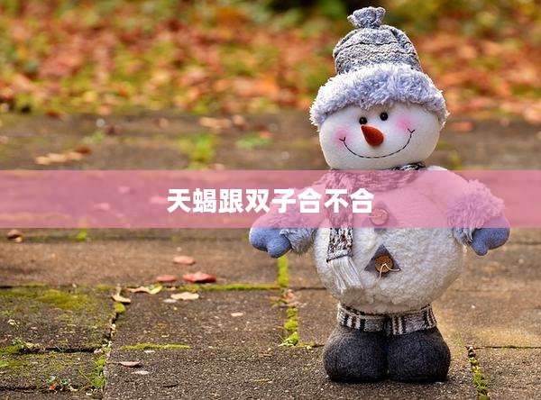 天蝎跟双子合不合
