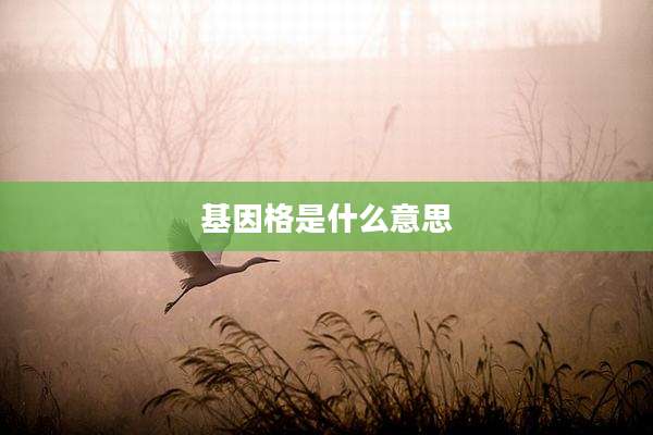 基因格是什么意思