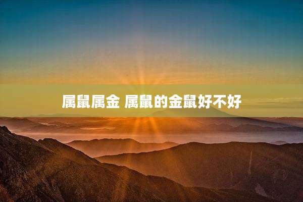 属鼠属金 属鼠的金鼠好不好