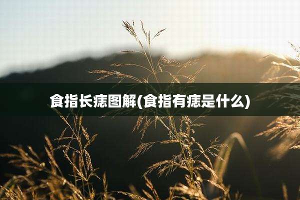食指长痣图解(食指有痣是什么)