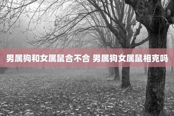 男属狗和女属鼠合不合 男属狗女属鼠相克吗