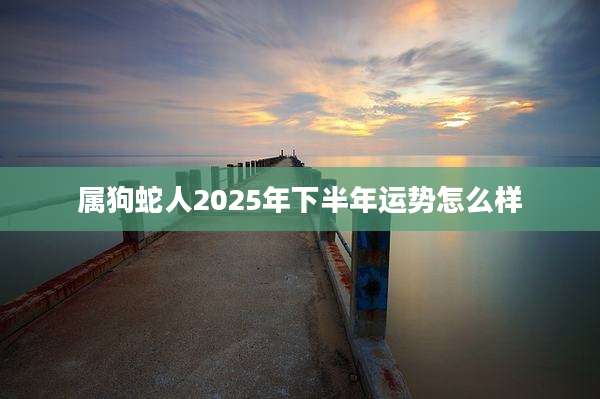 属狗蛇人2025年下半年运势怎么样