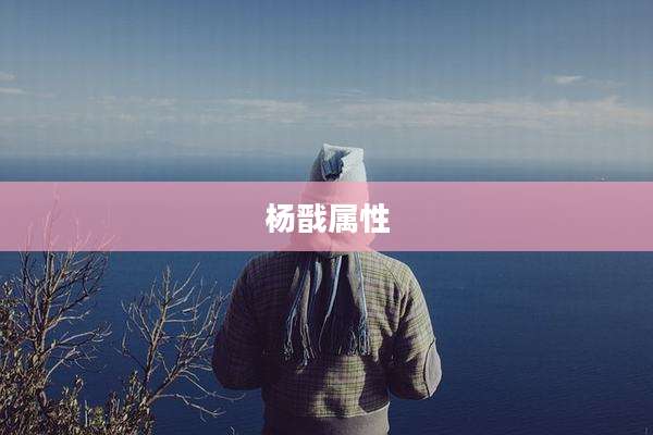 杨戬属性