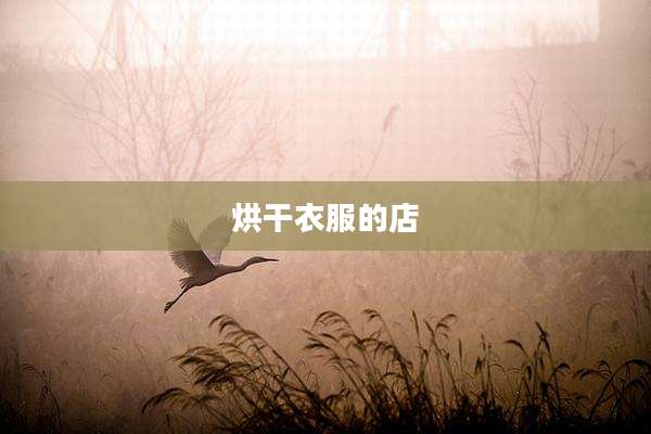 烘干衣服的店