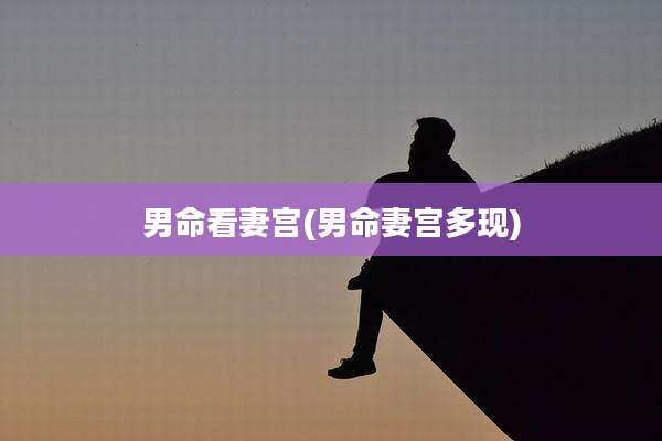男命看妻宫(男命妻宫多现)