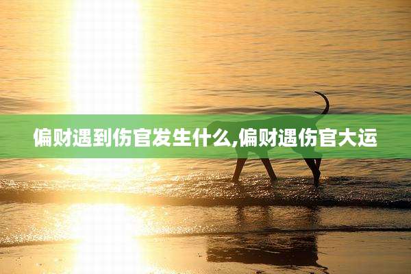 偏财遇到伤官发生什么,偏财遇伤官大运
