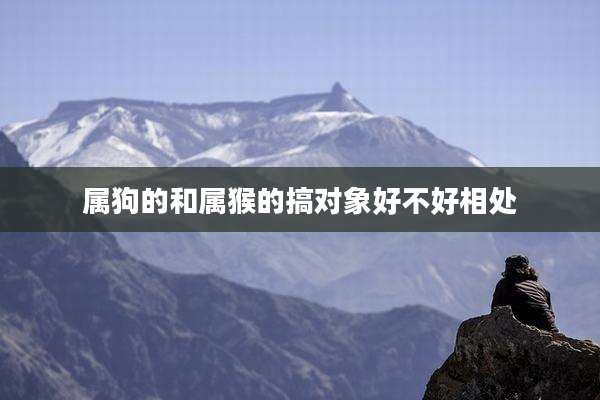 属狗的和属猴的搞对象好不好相处