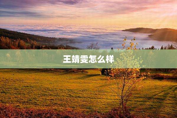 王靖雯怎么样