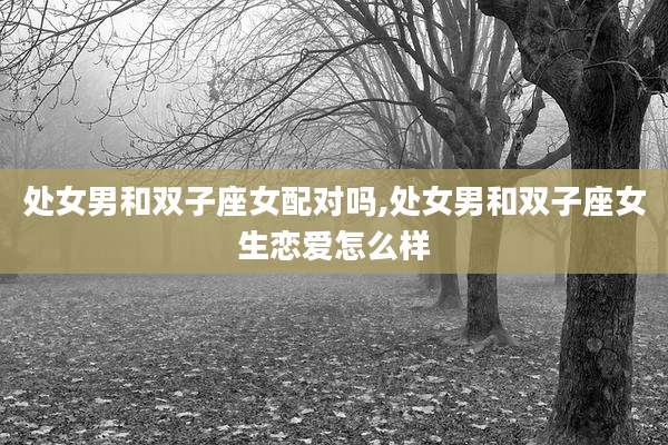 处女男和双子座女配对吗,处女男和双子座女生恋爱怎么样