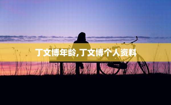丁文博年龄,丁文博个人资料