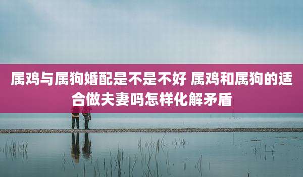 属鸡与属狗婚配是不是不好 属鸡和属狗的适合做夫妻吗怎样化解矛盾