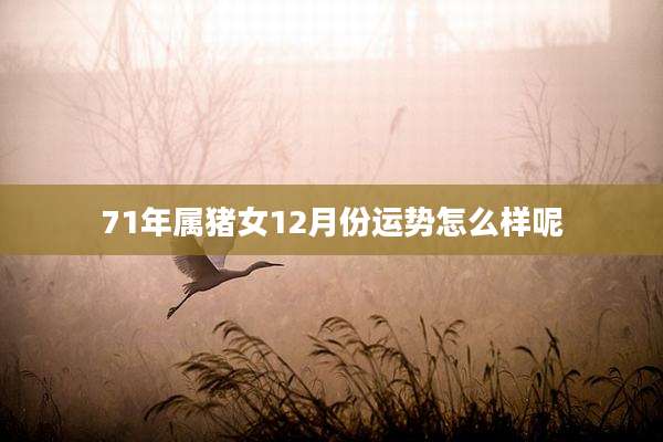 71年属猪女12月份运势怎么样呢