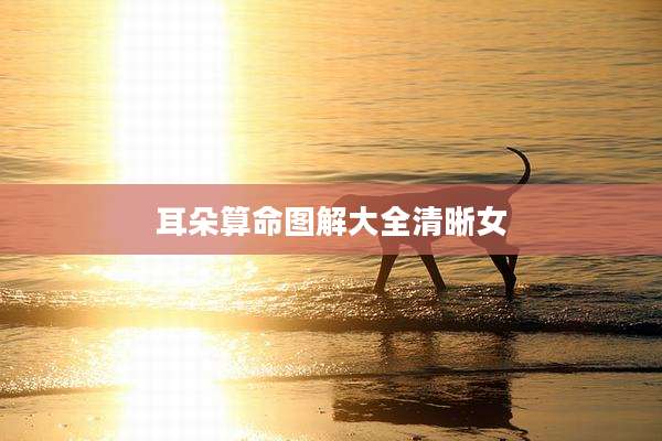耳朵算命图解大全清晰女