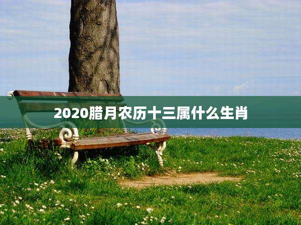 2020腊月农历十三属什么生肖