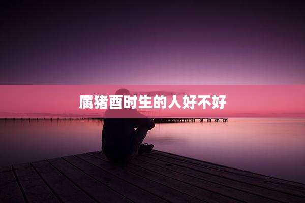 属猪酉时生的人好不好