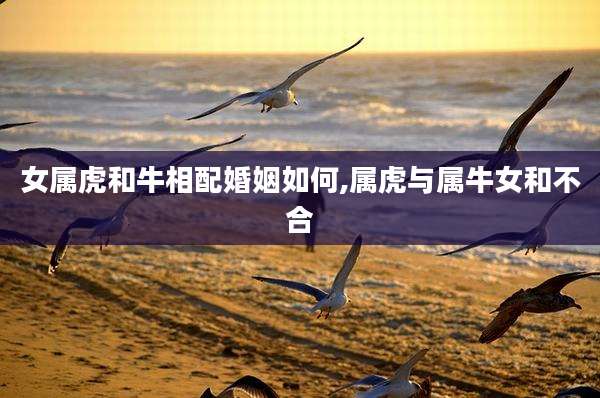 女属虎和牛相配婚姻如何,属虎与属牛女和不合