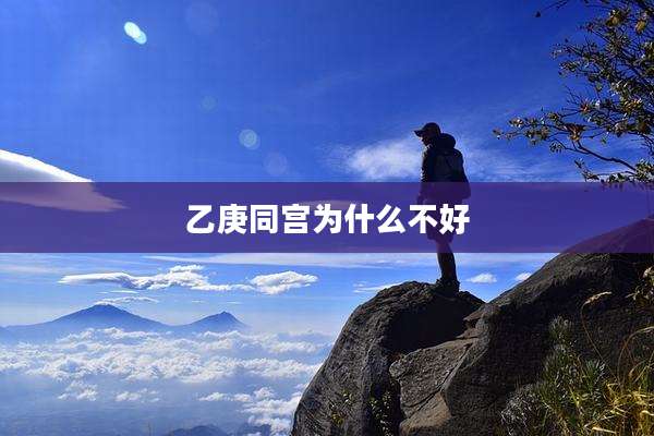 乙庚同宫为什么不好