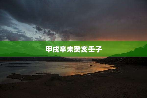 甲戌辛未癸亥壬子