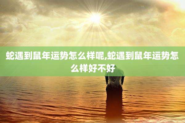 蛇遇到鼠年运势怎么样呢,蛇遇到鼠年运势怎么样好不好