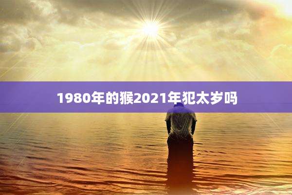 1980年的猴2021年犯太岁吗