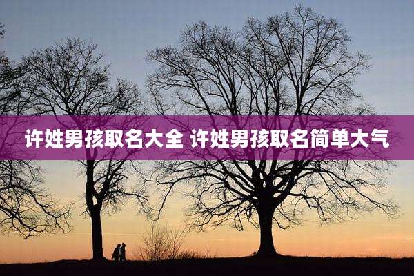 许姓男孩取名大全 许姓男孩取名简单大气