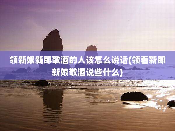 领新娘新郎敬酒的人该怎么说话(领着新郎新娘敬酒说些什么)
