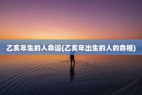乙亥年生的人命运(乙亥年出生的人的命相)