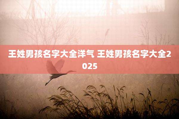王姓男孩名字大全洋气 王姓男孩名字大全2025