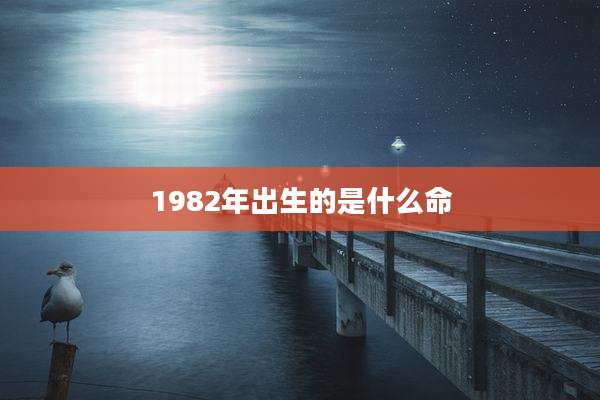 1982年出生的是什么命