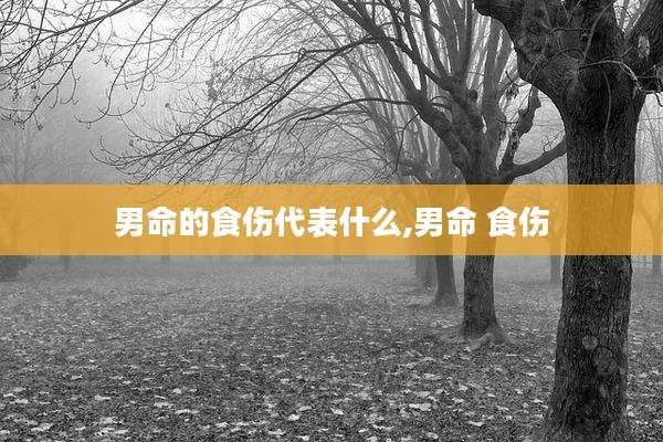 男命的食伤代表什么,男命 食伤