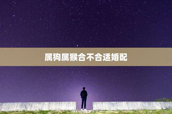属狗属猴合不合适婚配