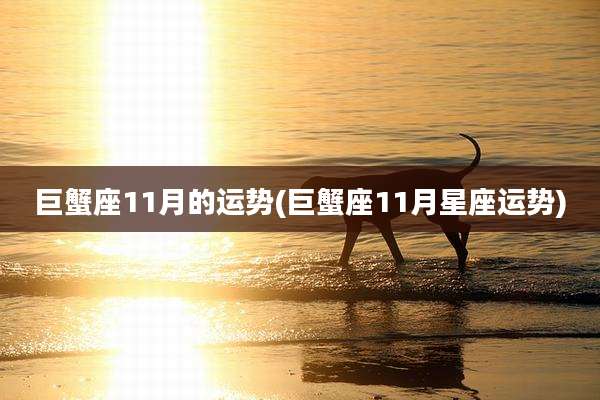 巨蟹座11月的运势(巨蟹座11月星座运势)