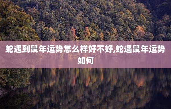 蛇遇到鼠年运势怎么样好不好,蛇遇鼠年运势如何