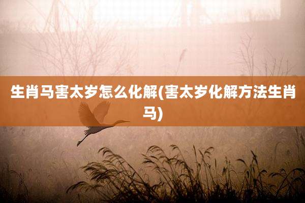生肖马害太岁怎么化解(害太岁化解方法生肖马)