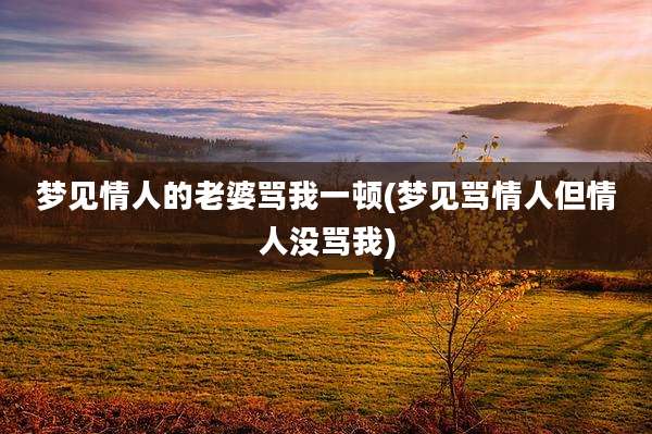 梦见情人的老婆骂我一顿(梦见骂情人但情人没骂我)