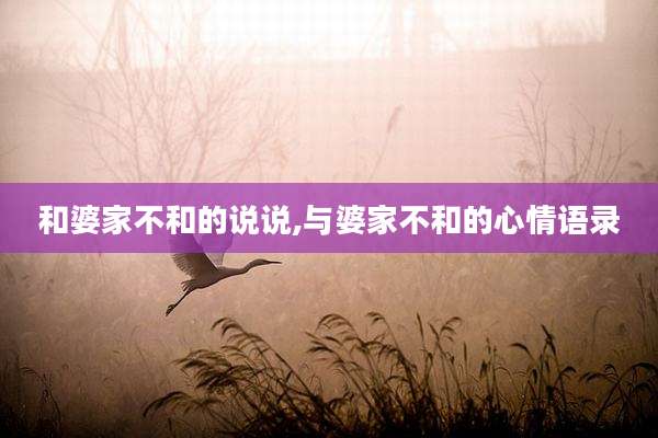 和婆家不和的说说,与婆家不和的心情语录