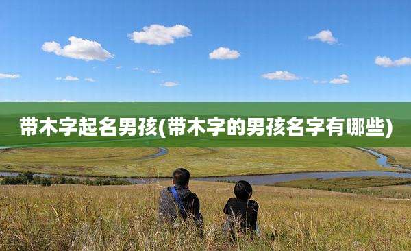 带木字起名男孩(带木字的男孩名字有哪些)