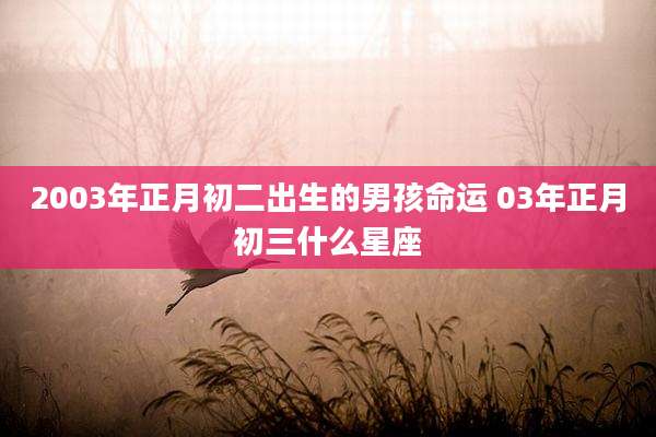 2003年正月初二出生的男孩命运 03年正月初三什么星座
