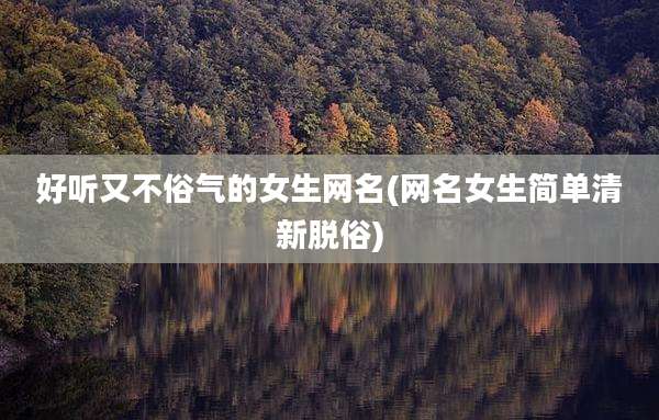 好听又不俗气的女生网名(网名女生简单清新脱俗)