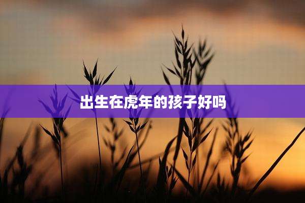 出生在虎年的孩子好吗
