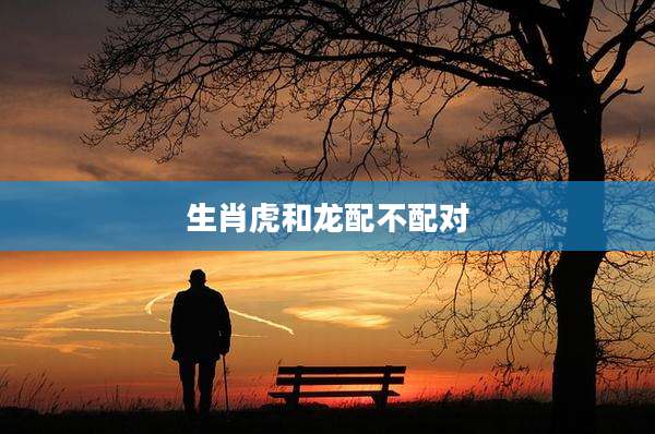 生肖虎和龙配不配对