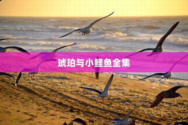 琥珀与小鲤鱼全集
