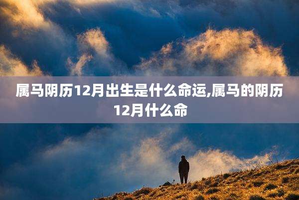 属马阴历12月出生是什么命运,属马的阴历12月什么命