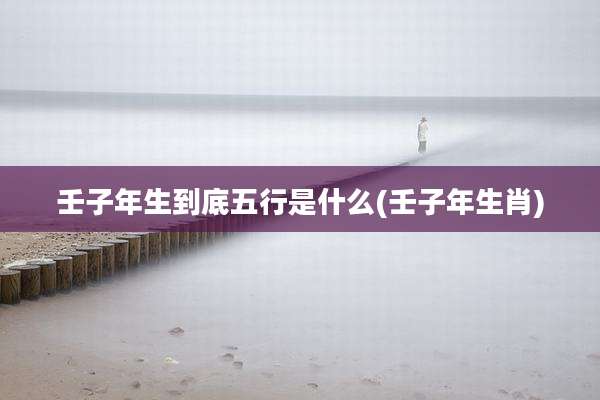 壬子年生到底五行是什么(壬子年生肖)