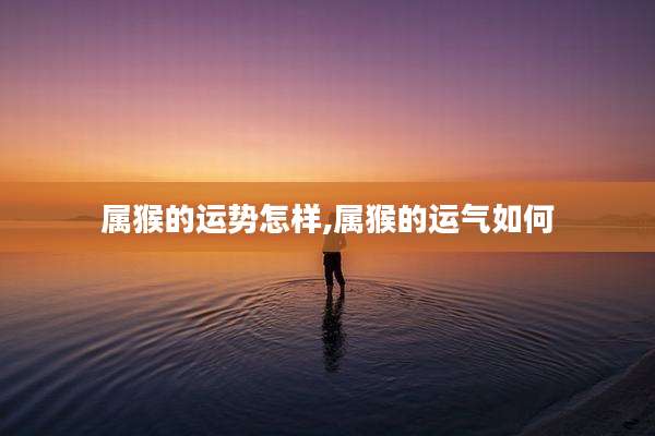 属猴的运势怎样,属猴的运气如何