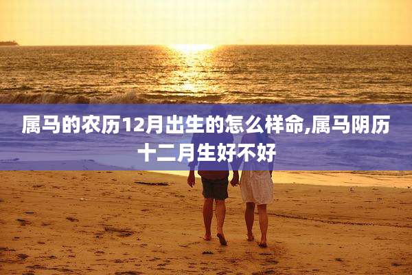 属马的农历12月出生的怎么样命,属马阴历十二月生好不好