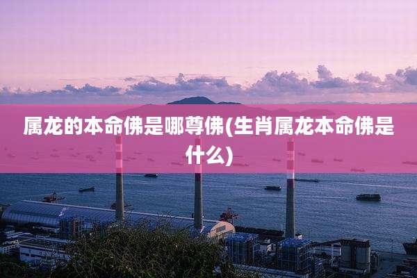 属龙的本命佛是哪尊佛(生肖属龙本命佛是什么)